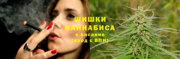 гидропоника Вяземский
