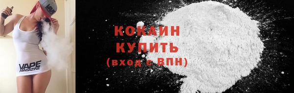стафф Вязьма