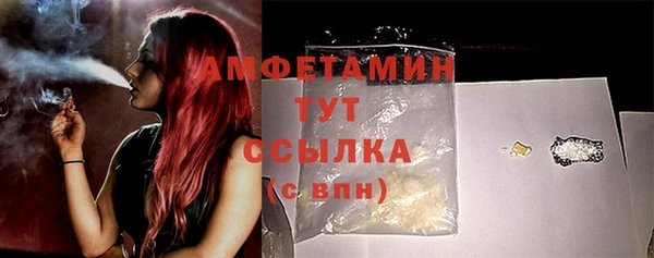 стафф Вязьма