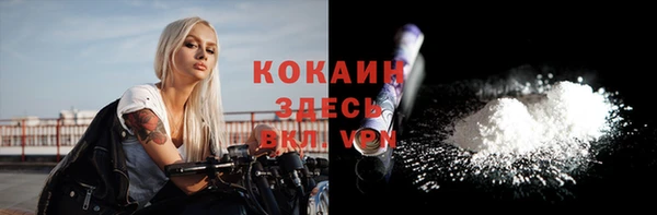 стафф Вязьма