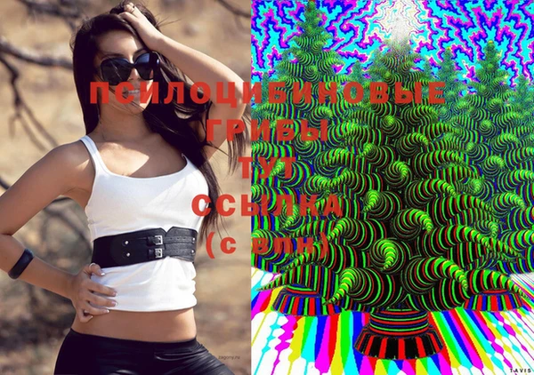 стаф Вязники