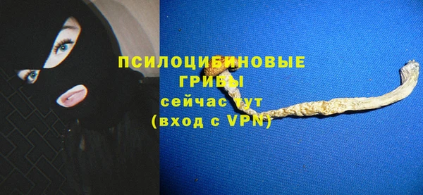 гидропоника Вяземский
