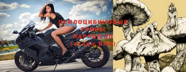 гидропоника Вяземский