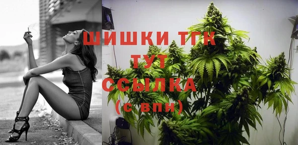 гидропоника Вяземский