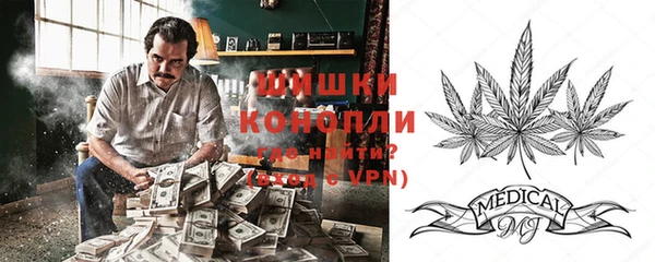 стаф Вязники