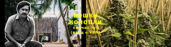 стафф Вязьма