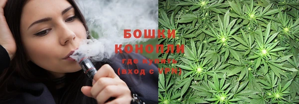 стаф Вязники