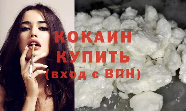 стаф Вязники