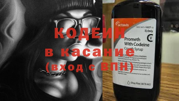 стафф Вязьма