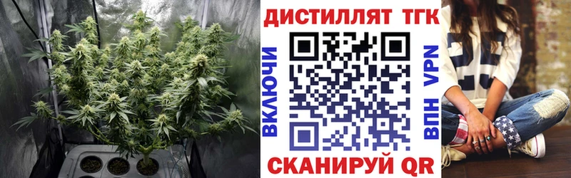 Купить где  Троицк  Дистиллят ТГК THC oil 